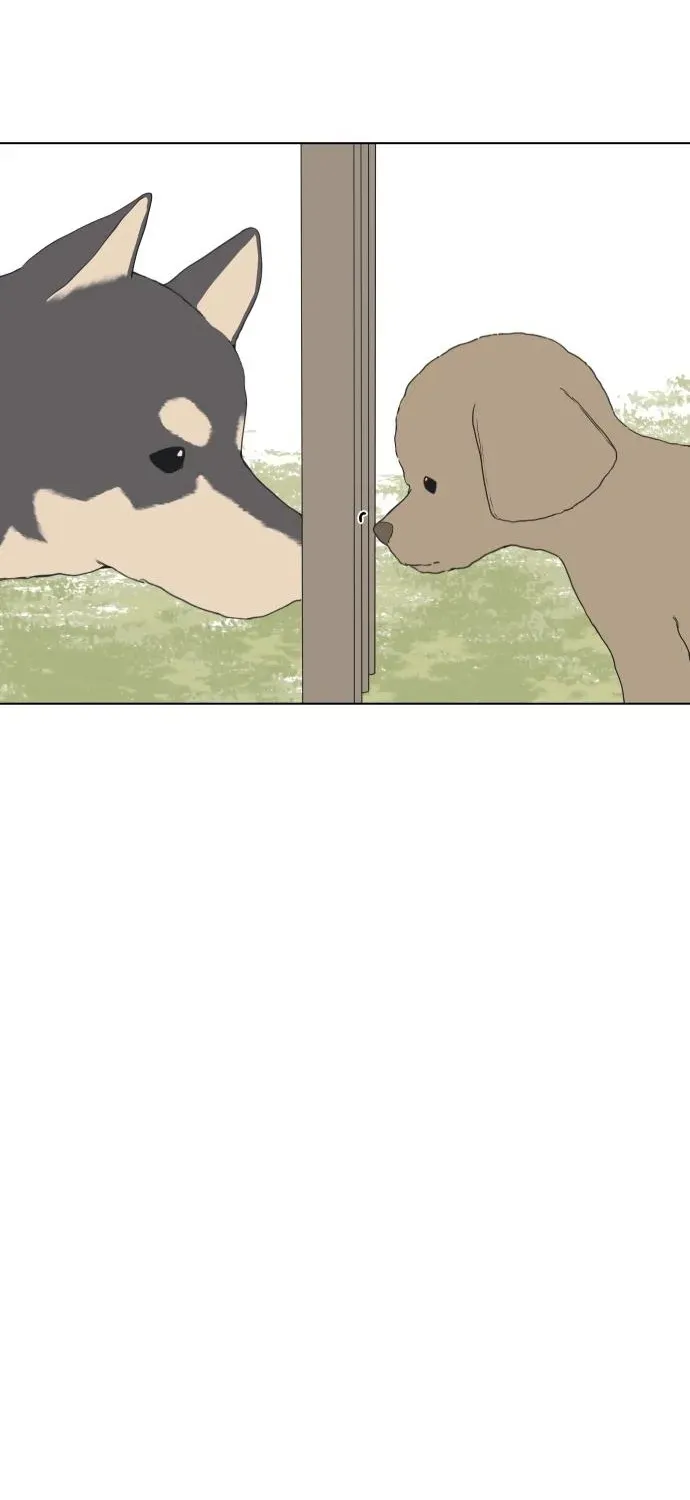 Puppy Star Chapter 2 page 29 - 