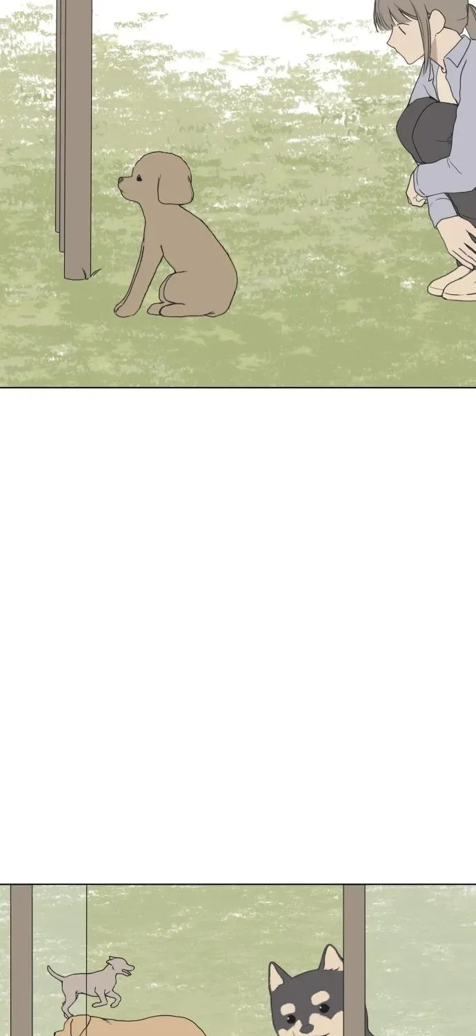Puppy Star Chapter 2 page 31 - 