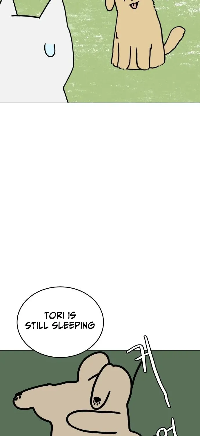 Puppy Star Chapter 3 page 11 - 