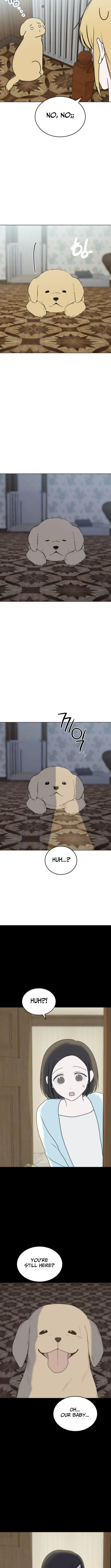 Puppy Star Chapter 7 page 13 - 