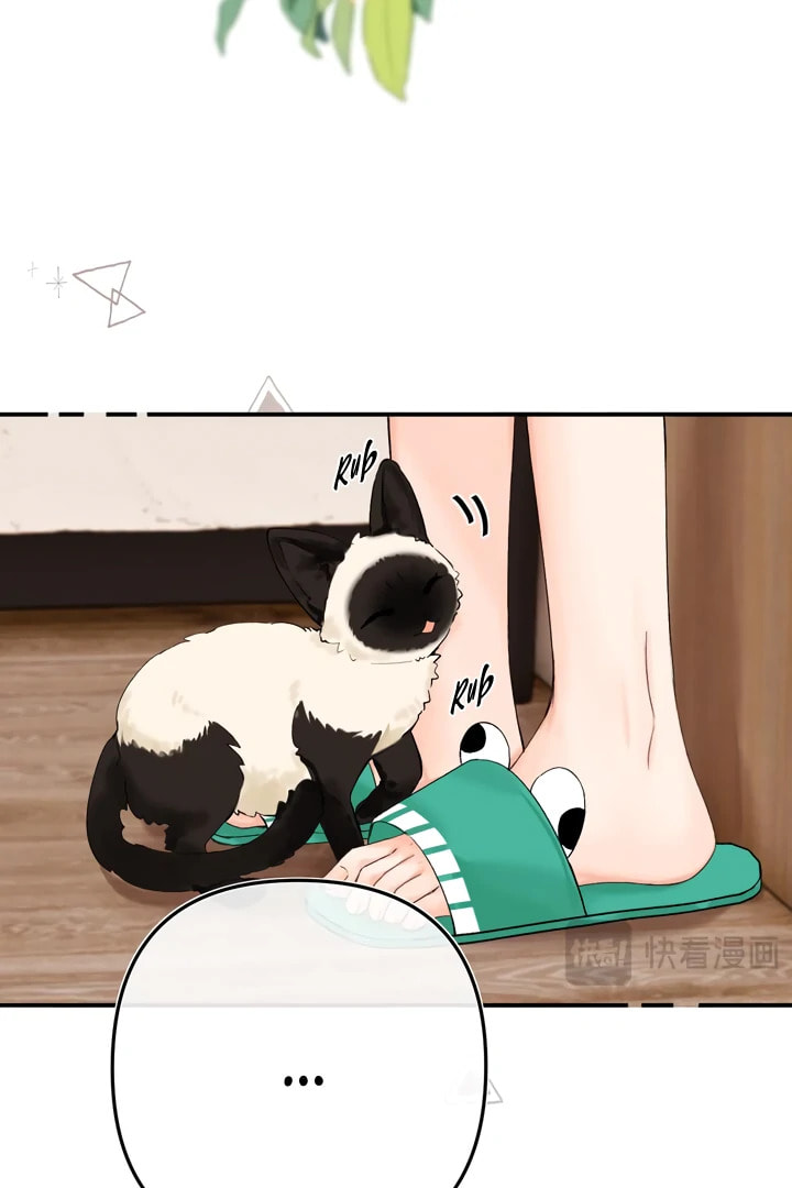 Qing Duo Guan Zhao Chapter 35 page 11 - 