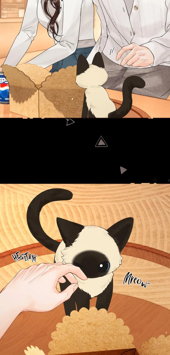 Qing Duo Guan Zhao Chapter 42 page 45 - 