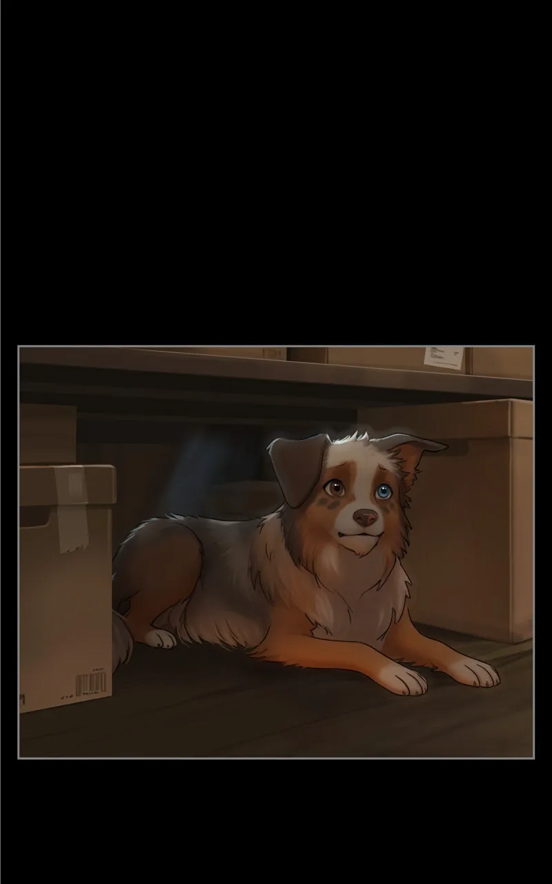 Quantum Entanglement Chapter 37 page 21 - 