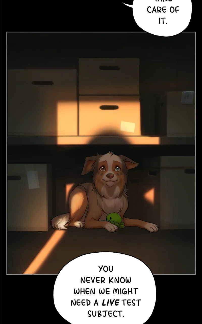 Quantum Entanglement Chapter 37 page 29 - 