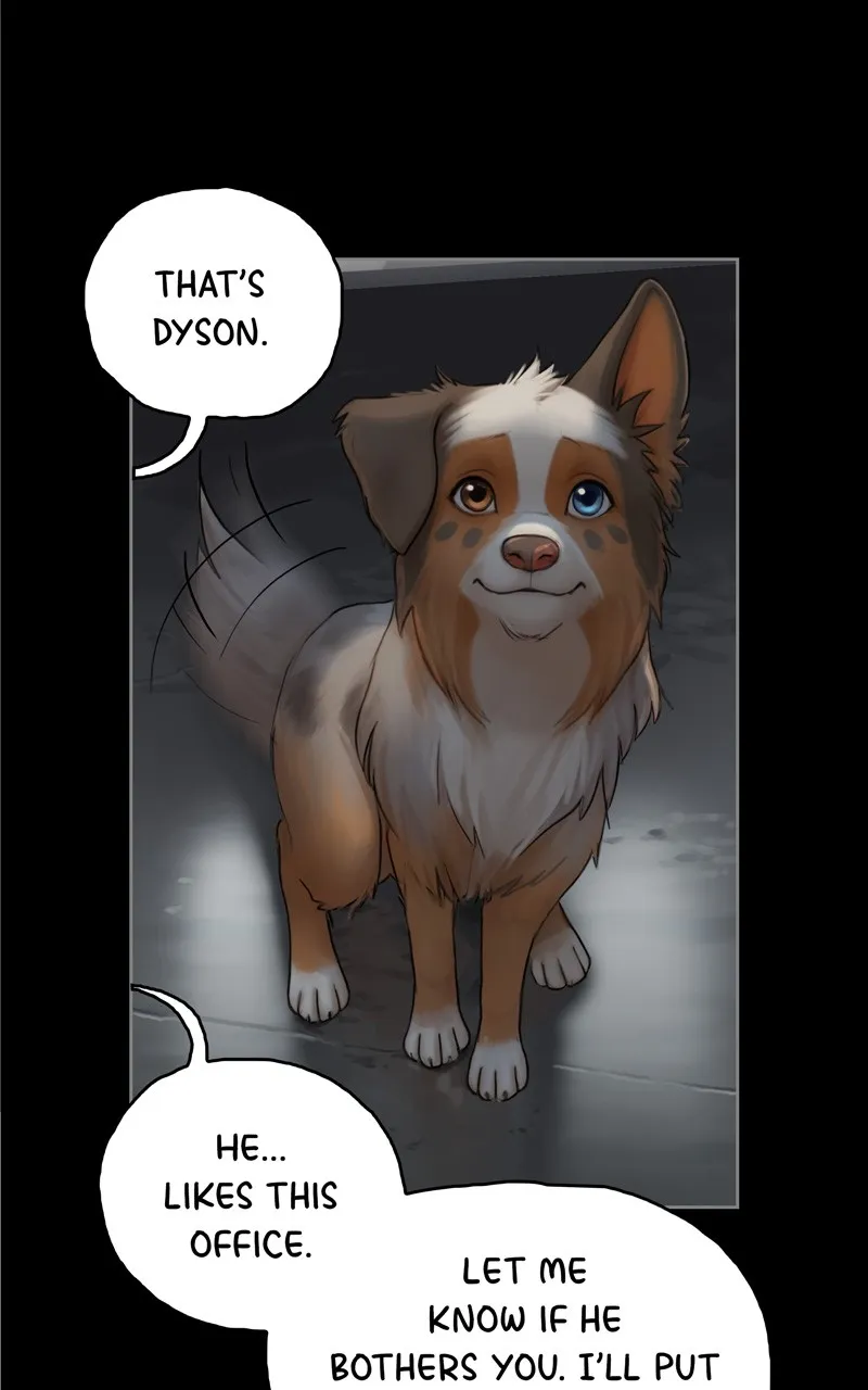 Quantum Entanglement Chapter 46 page 31 - 