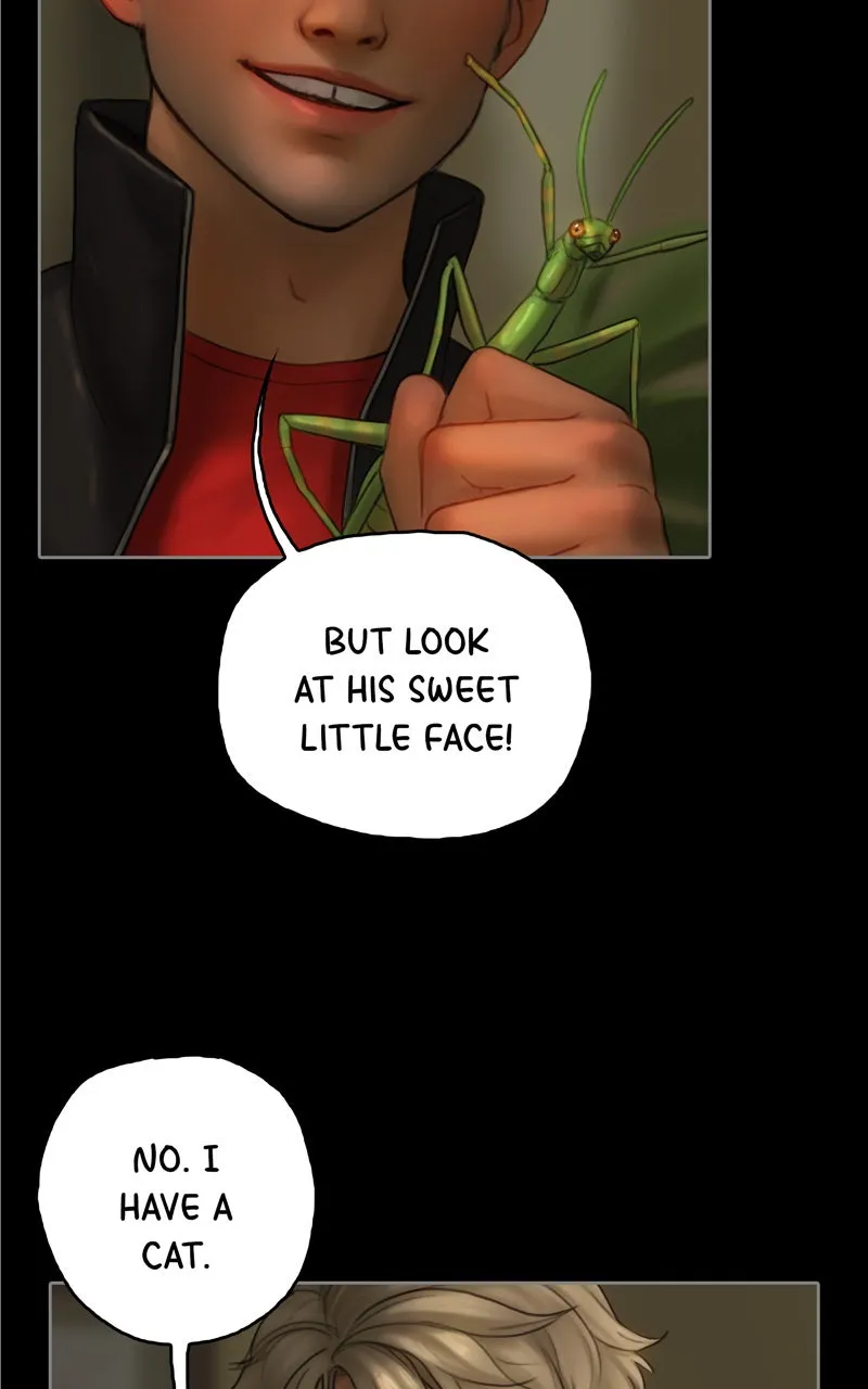 Quantum Entanglement Chapter 73 page 29 - 
