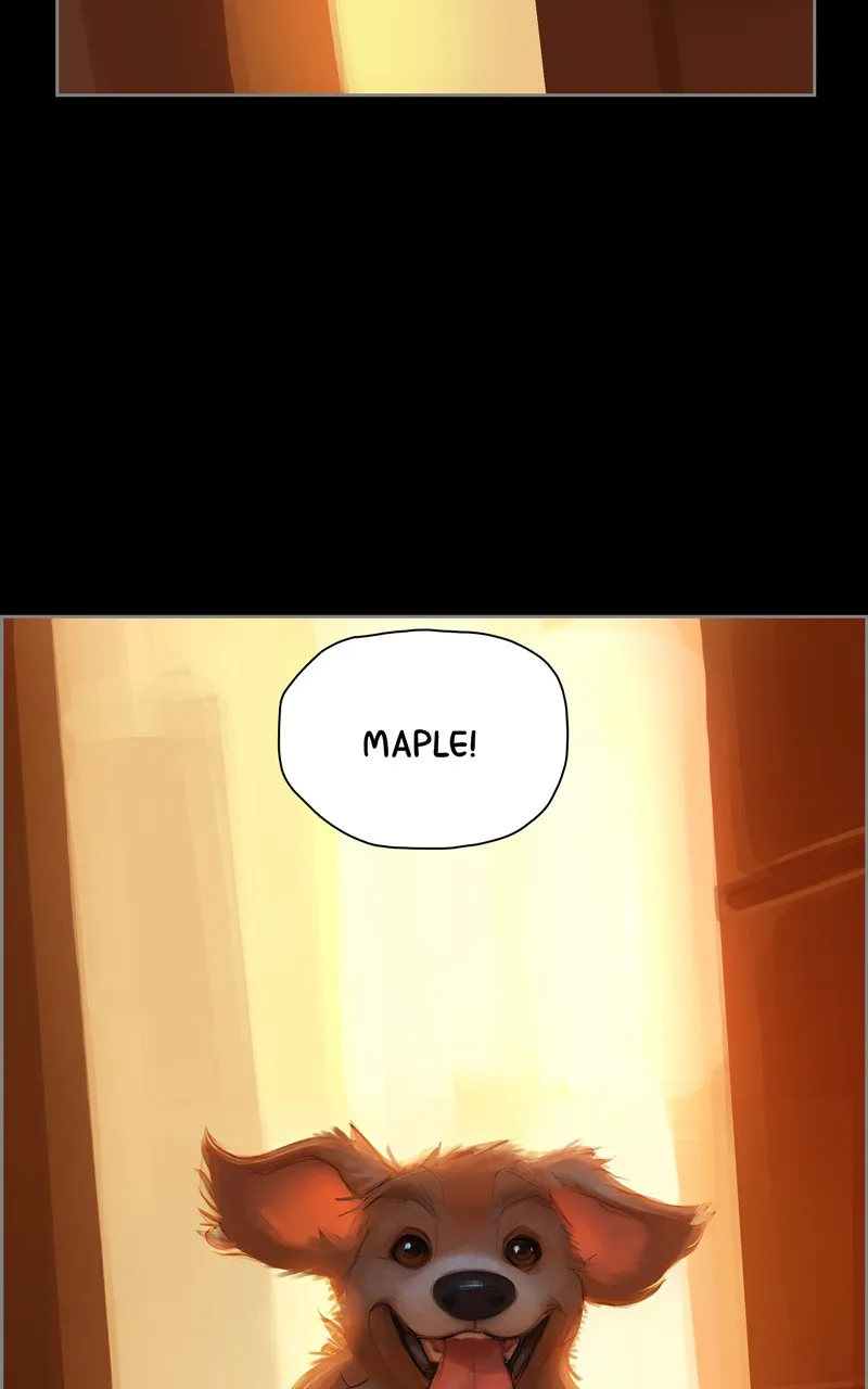 Quantum Entanglement Chapter 8 page 4 - 
