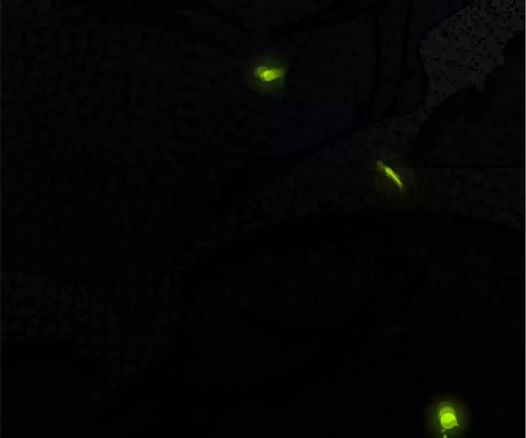 Quanzhi Juexing Chapter 1 page 248 - 