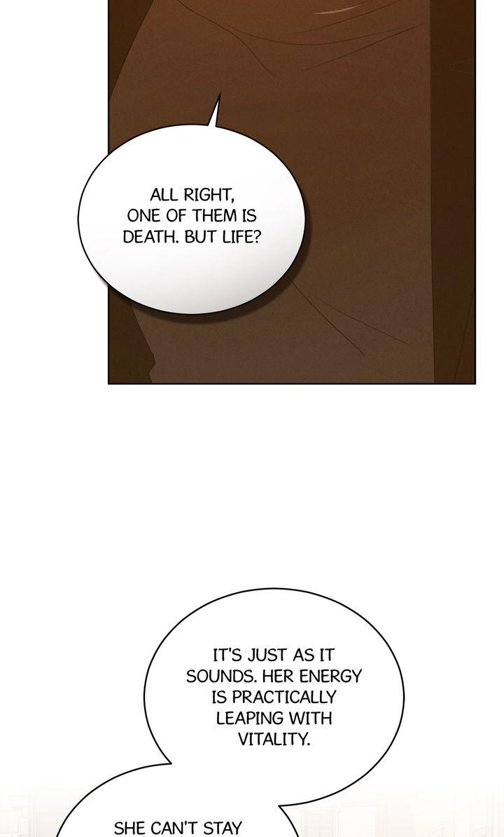 Queen of Snow Chapter 32 page 42 - 