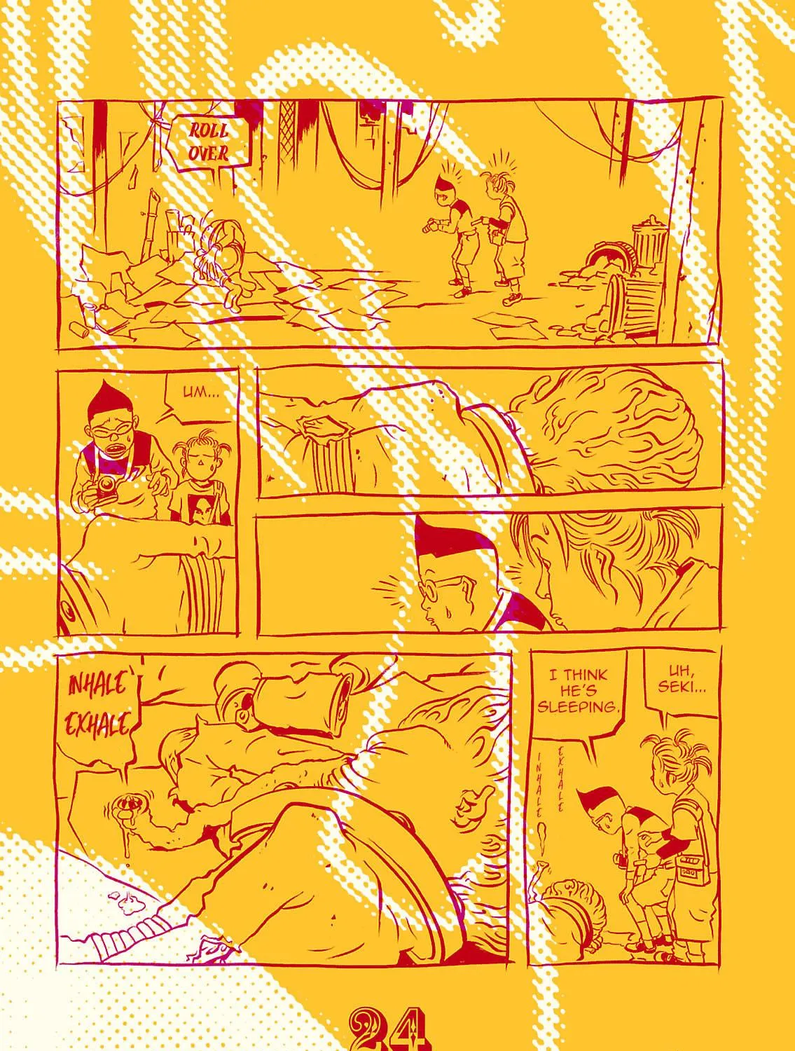 R Chapter 2 page 11 - 