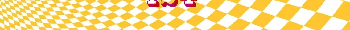 R Chapter 8 page 20 - 