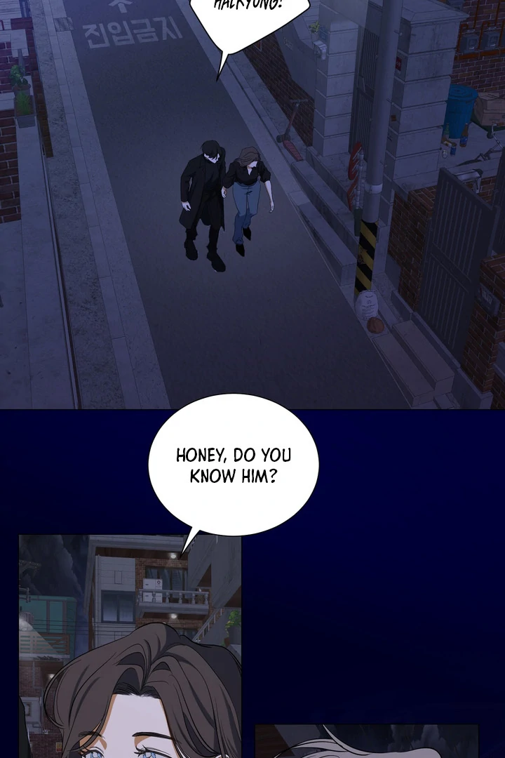 Rabbit, Burrow Chapter 7 page 43 - 