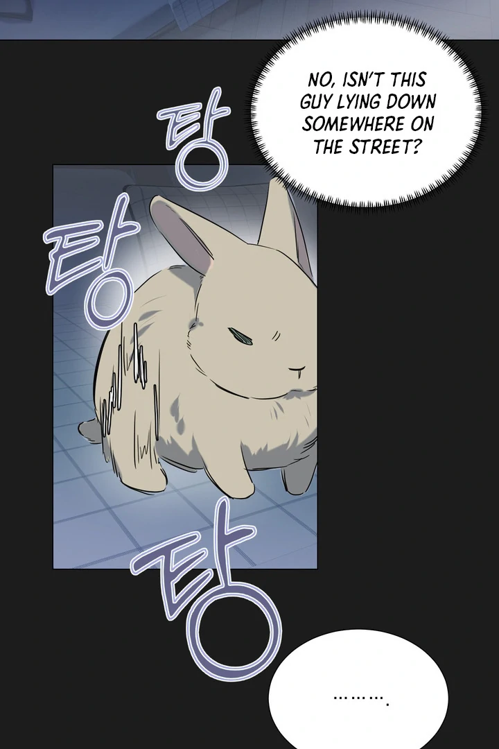 Rabbit, Burrow Chapter 8 page 33 - 