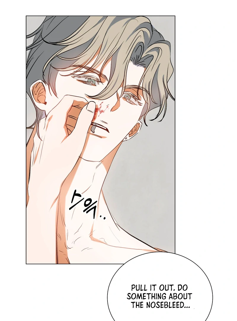 Rabbit, Burrow Chapter 9 page 41 - 