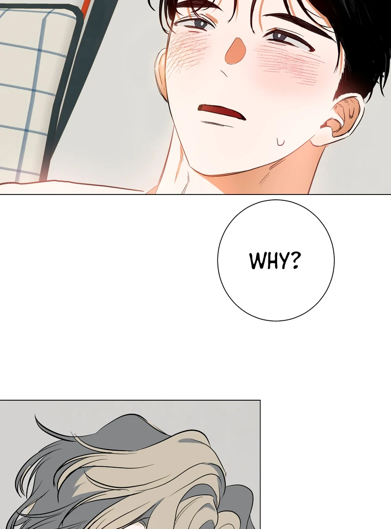 Rabbit, Burrow Chapter 9 page 68 - 