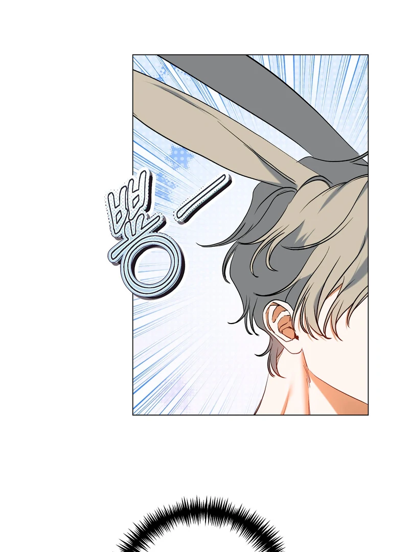 Rabbit, Burrow Chapter 9 page 78 - 
