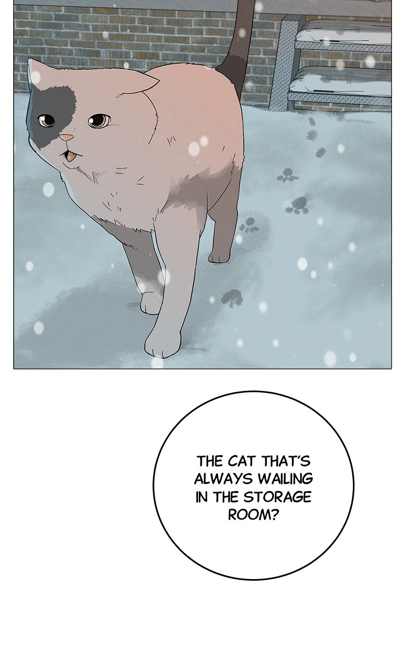 Radiant Rewind Chapter 0 page 154 - 