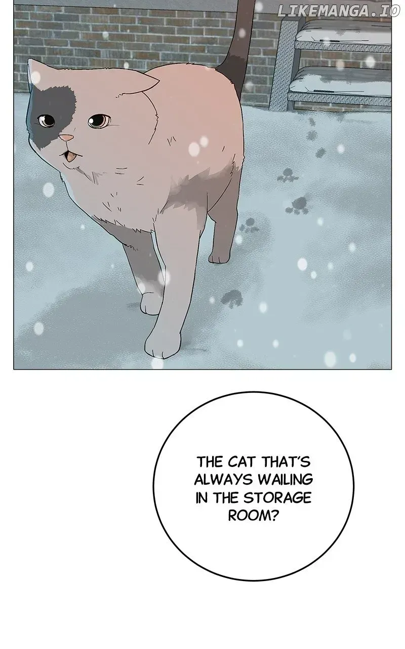 Radiant Rewind Chapter 1.8 page 154 - 