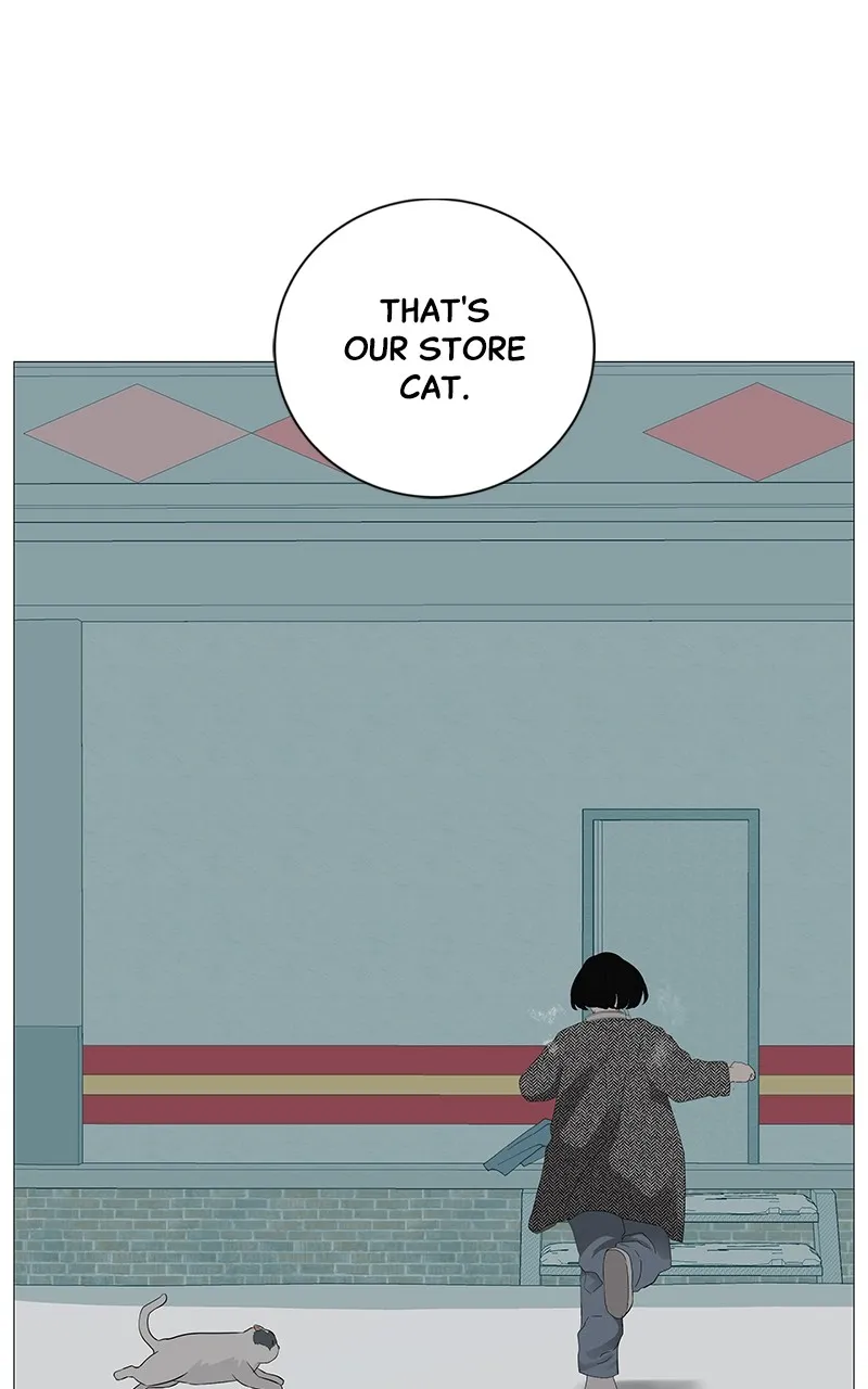 Radiant Rewind Chapter 11 page 78 - 