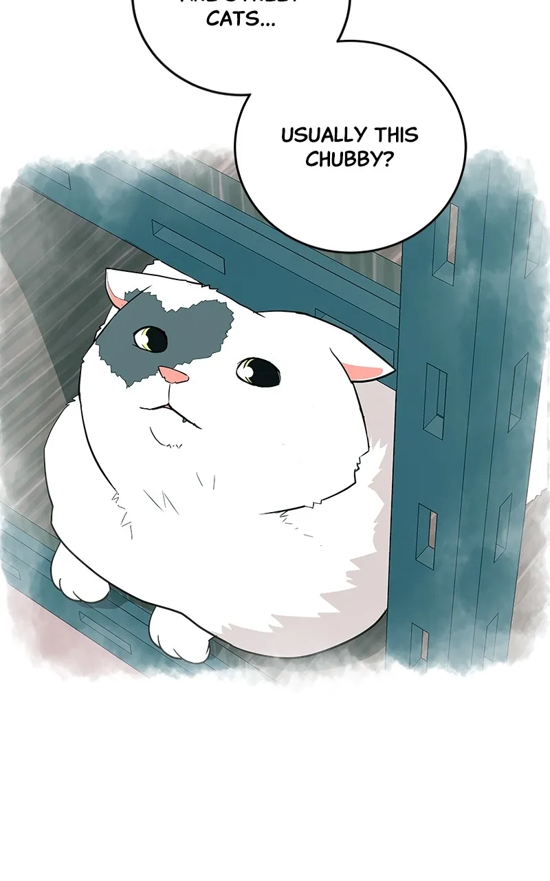 Radiant Rewind Chapter 11 page 83 - 