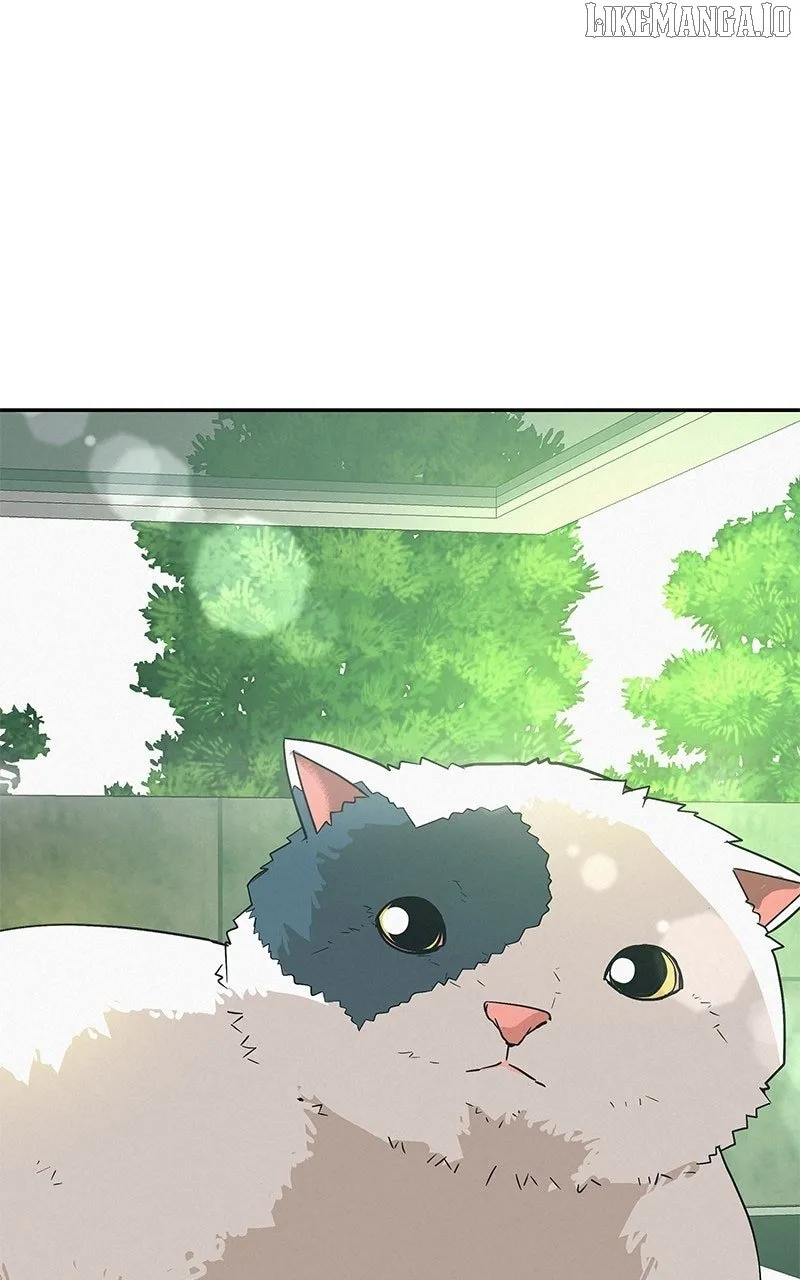Radiant Rewind Chapter 46 page 1 - 