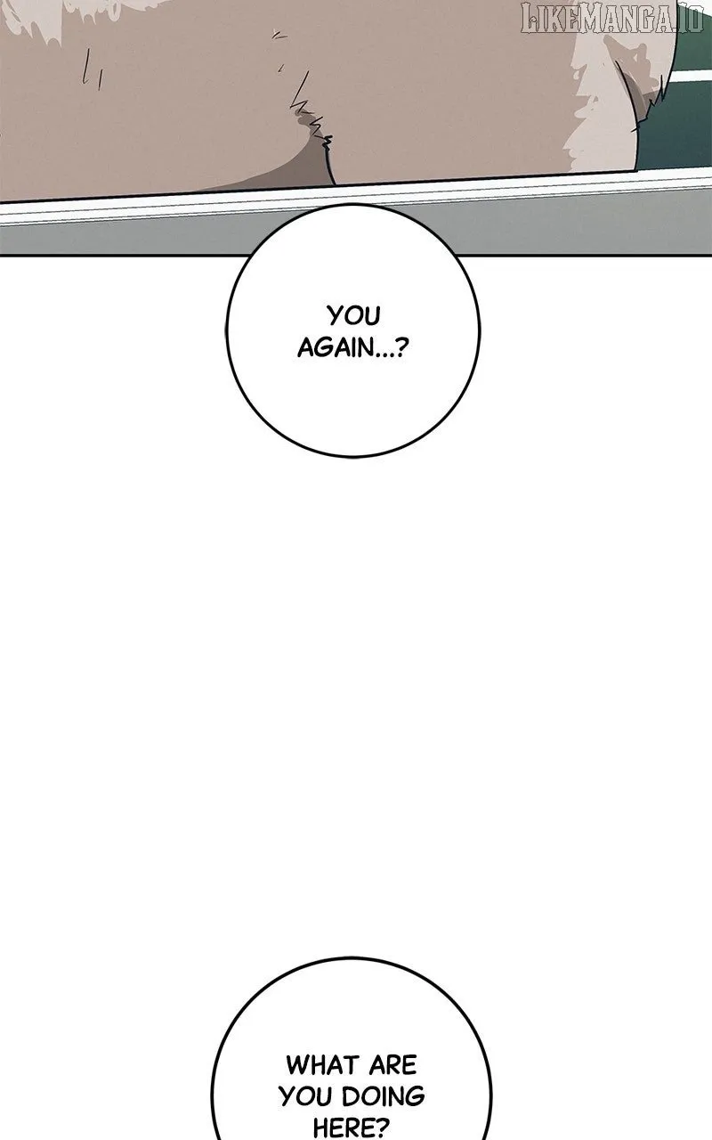 Radiant Rewind Chapter 46 page 2 - 