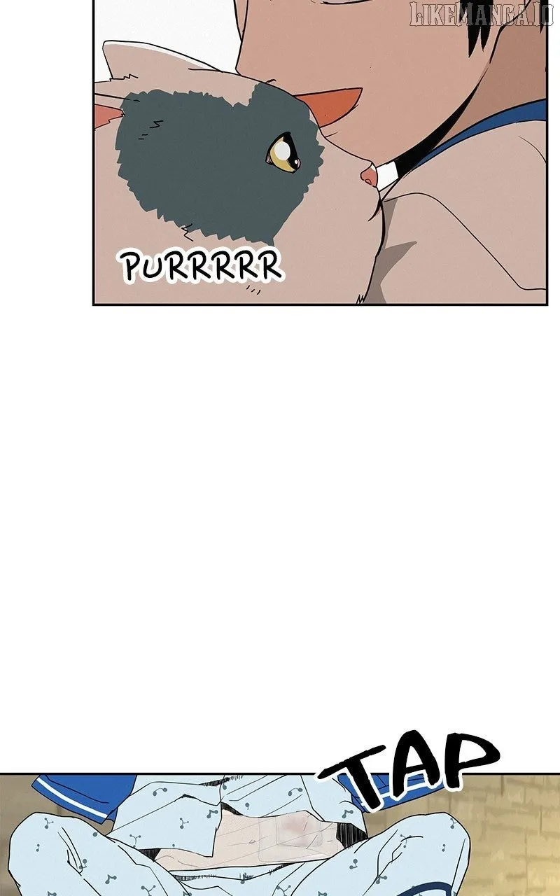 Radiant Rewind Chapter 46 page 11 - 