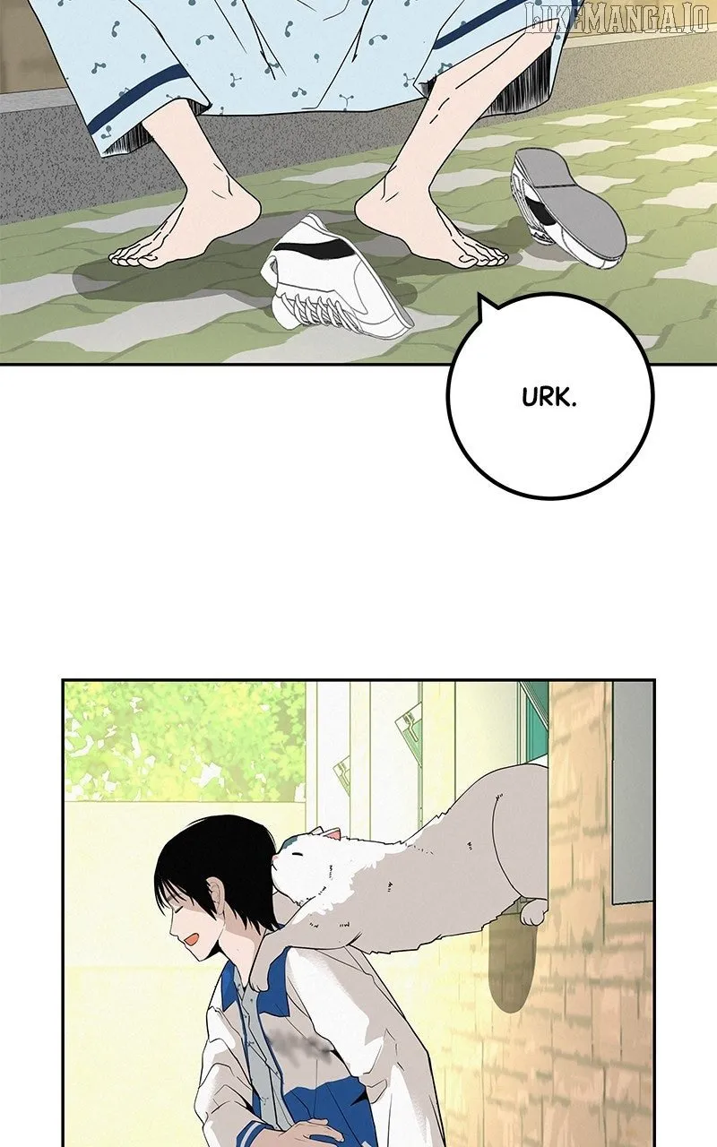 Radiant Rewind Chapter 46 page 12 - 
