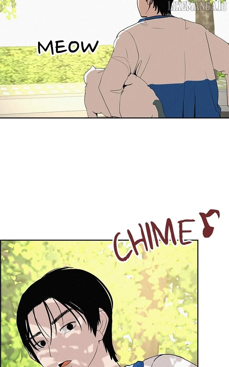 Radiant Rewind Chapter 46 page 14 - 
