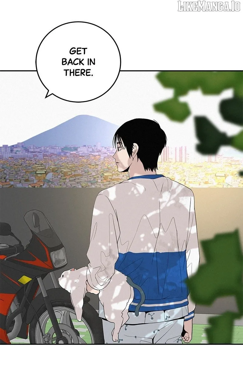 Radiant Rewind Chapter 46 page 17 - 