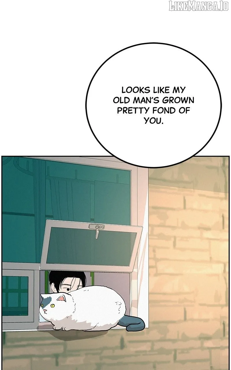 Radiant Rewind Chapter 46 page 4 - 