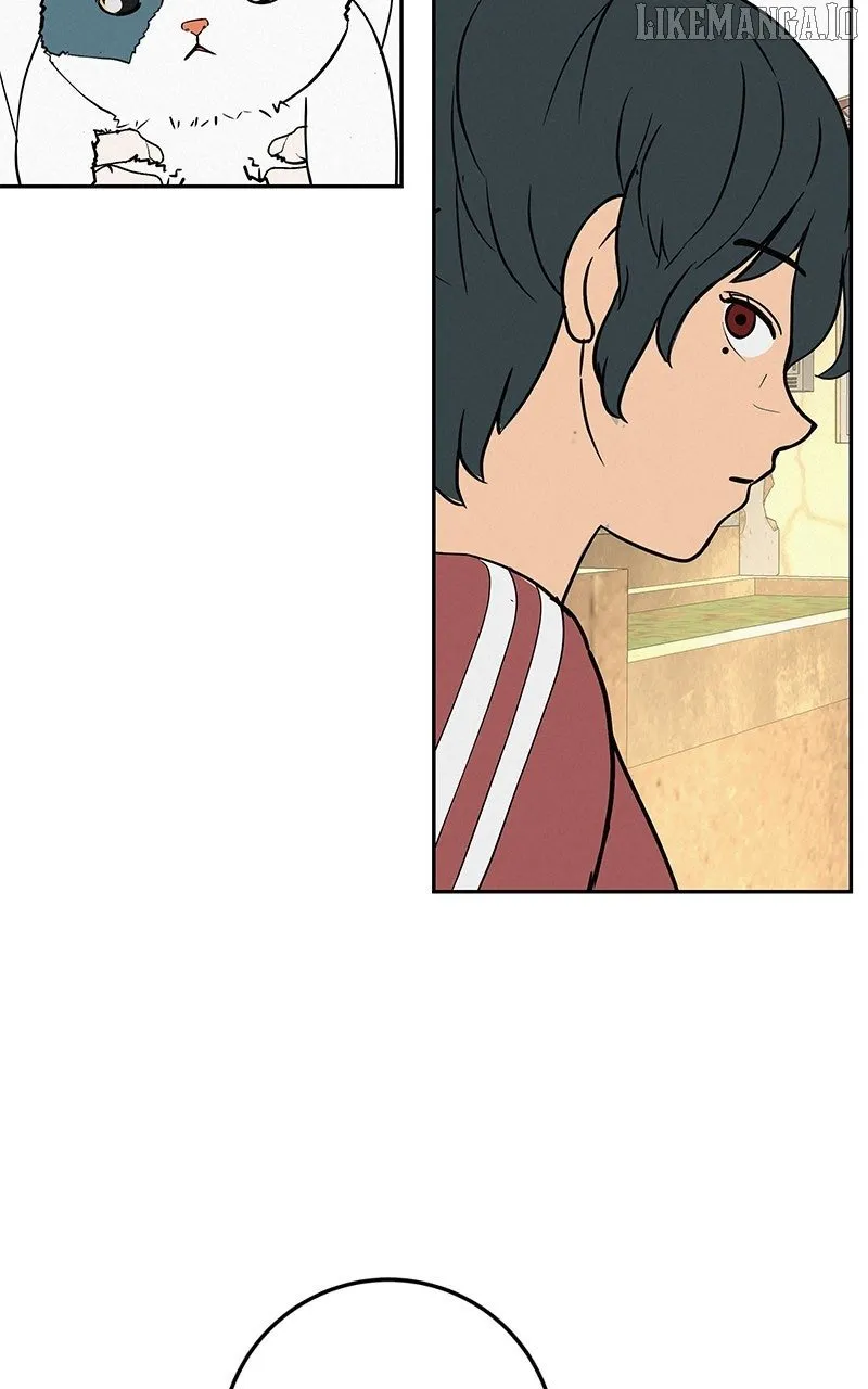 Radiant Rewind Chapter 47 page 58 - 