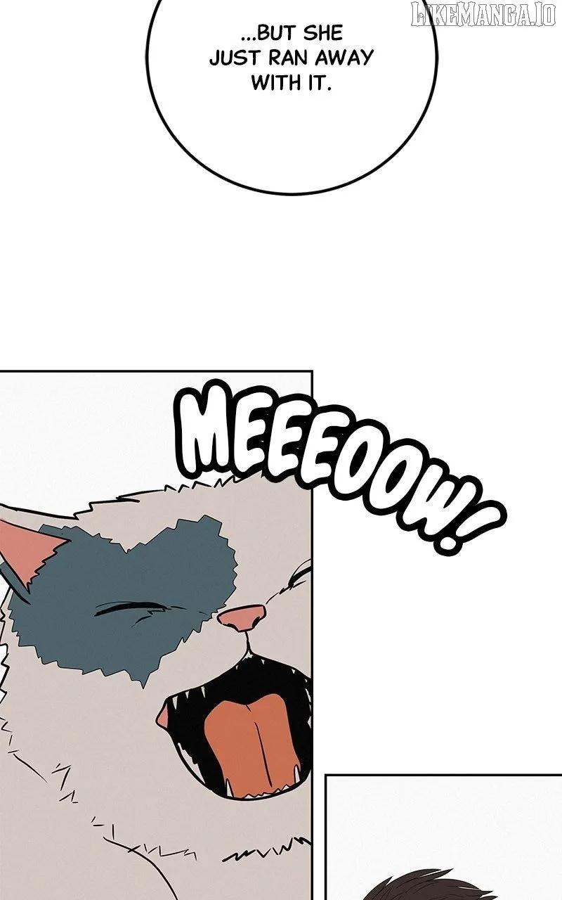 Radiant Rewind Chapter 47 page 60 - 