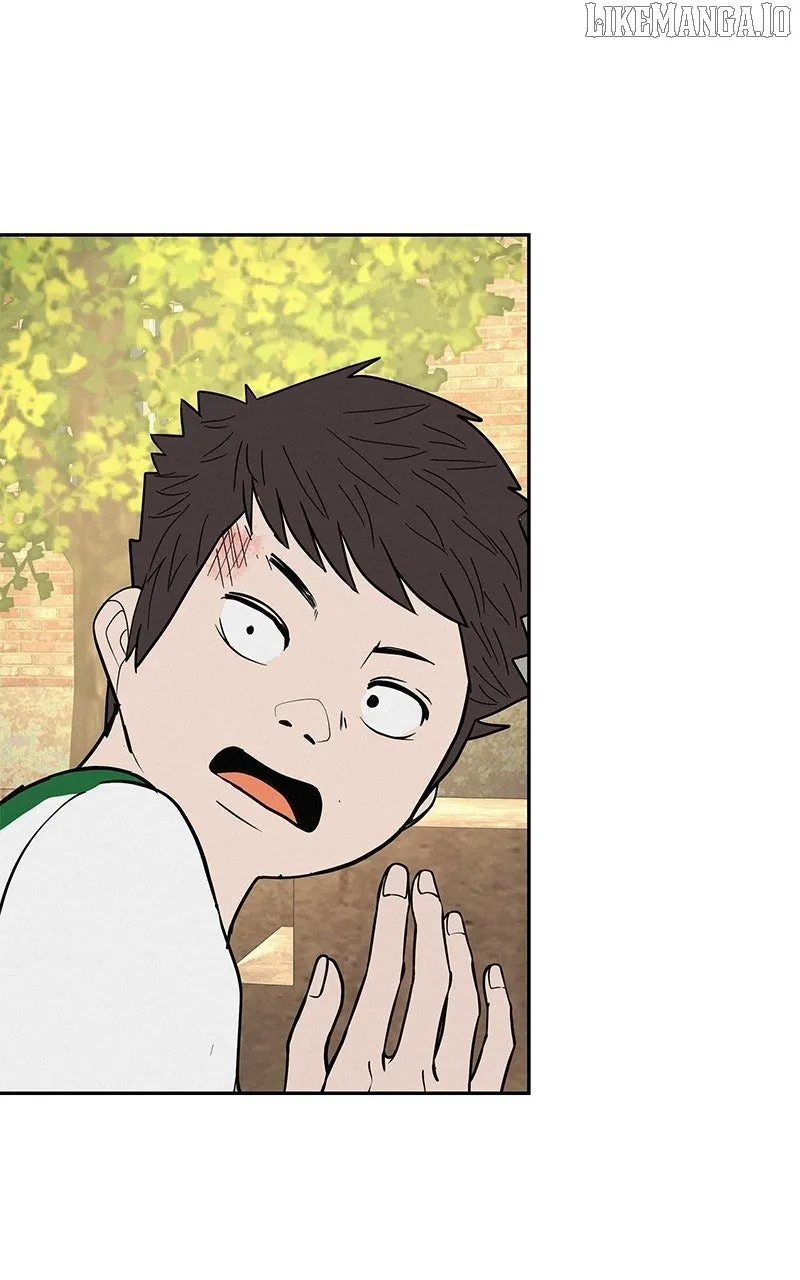 Radiant Rewind Chapter 47 page 66 - 