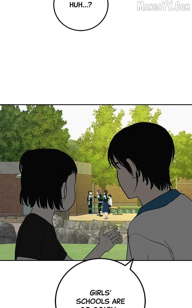 Radiant Rewind Chapter 49 page 14 - 