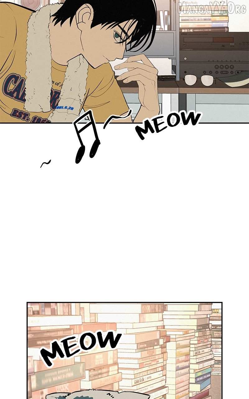 Radiant Rewind Chapter 55 page 30 - 