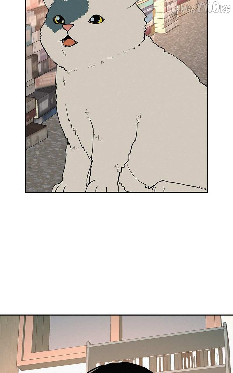 Radiant Rewind Chapter 55 page 31 - 
