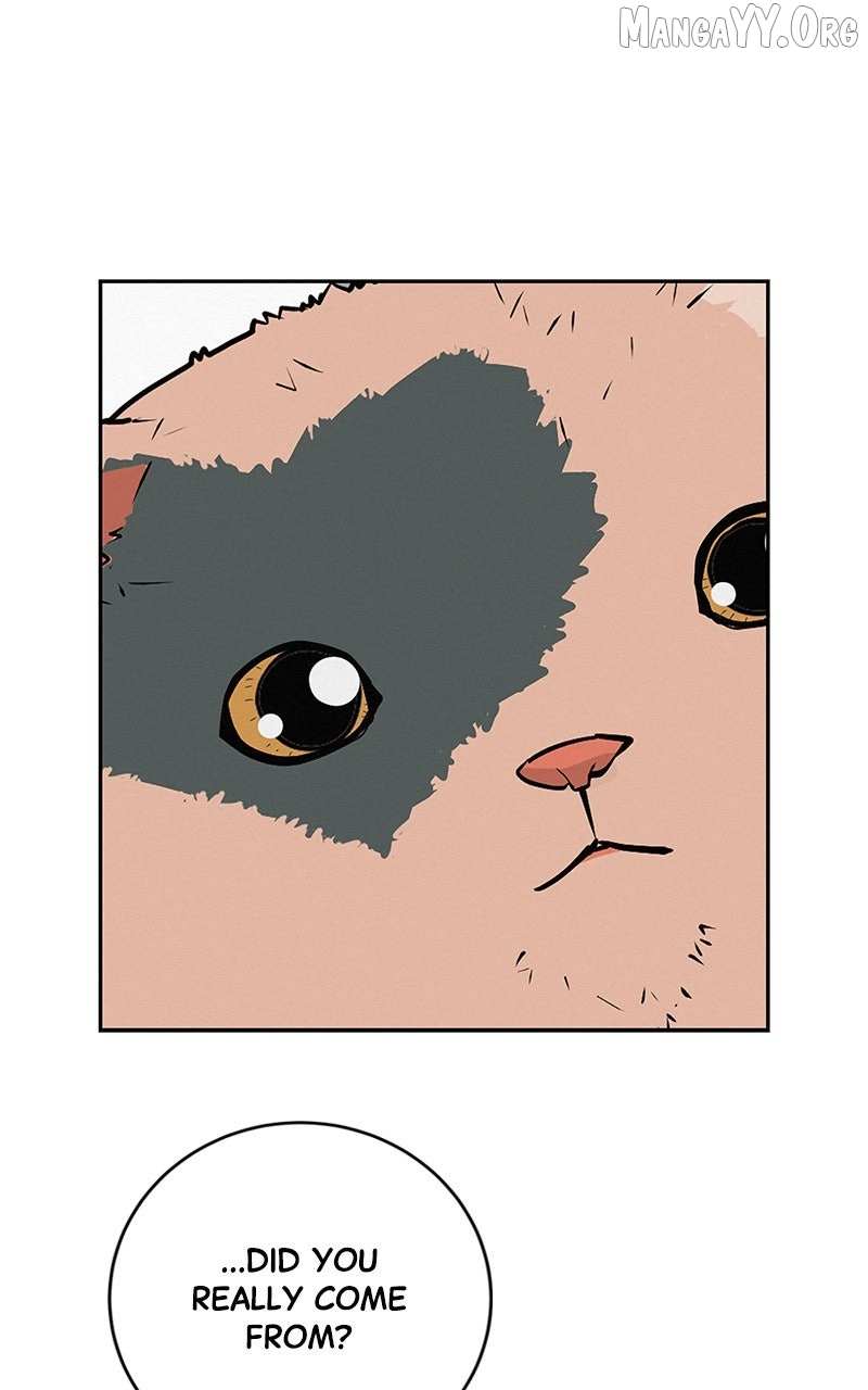 Radiant Rewind Chapter 55 page 33 - 