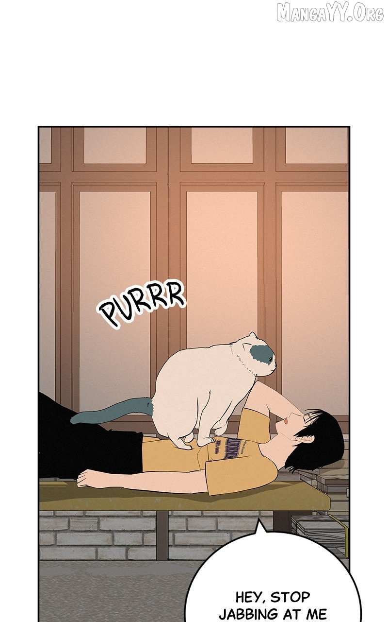 Radiant Rewind Chapter 55 page 84 - 