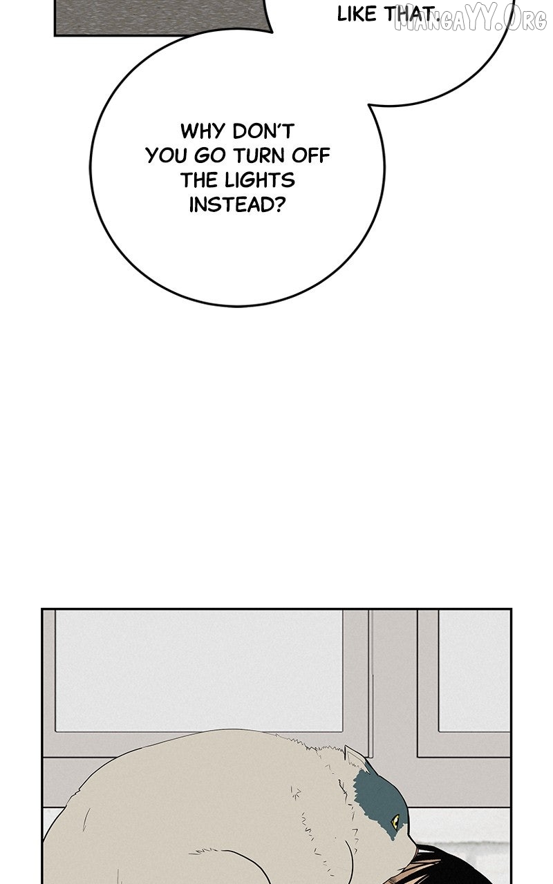Radiant Rewind Chapter 55 page 85 - 