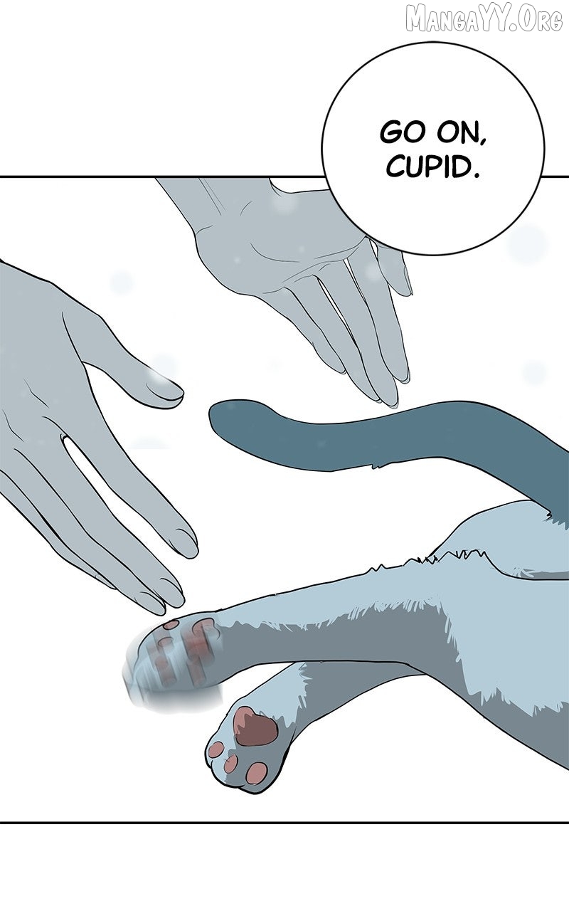 Radiant Rewind Chapter 56 page 192 - 