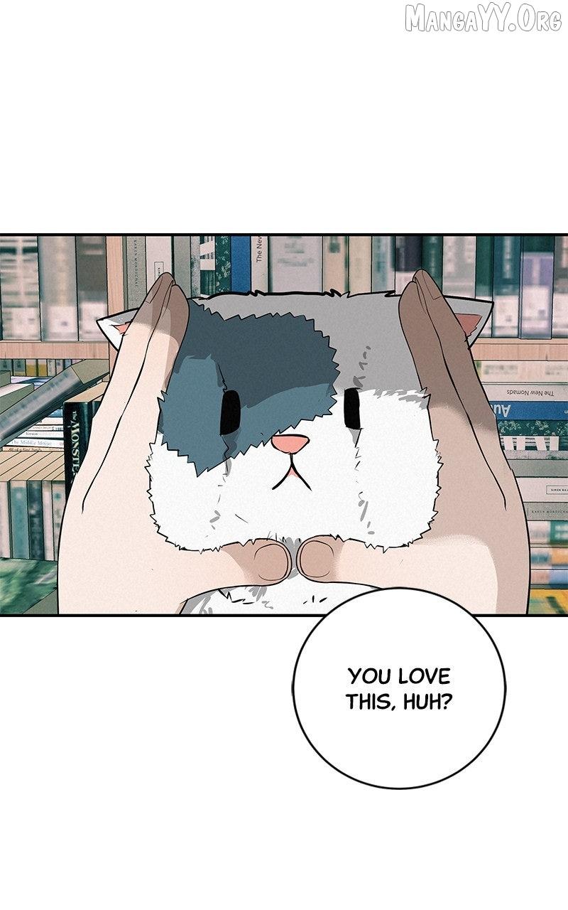 Radiant Rewind Chapter 60 page 62 - 