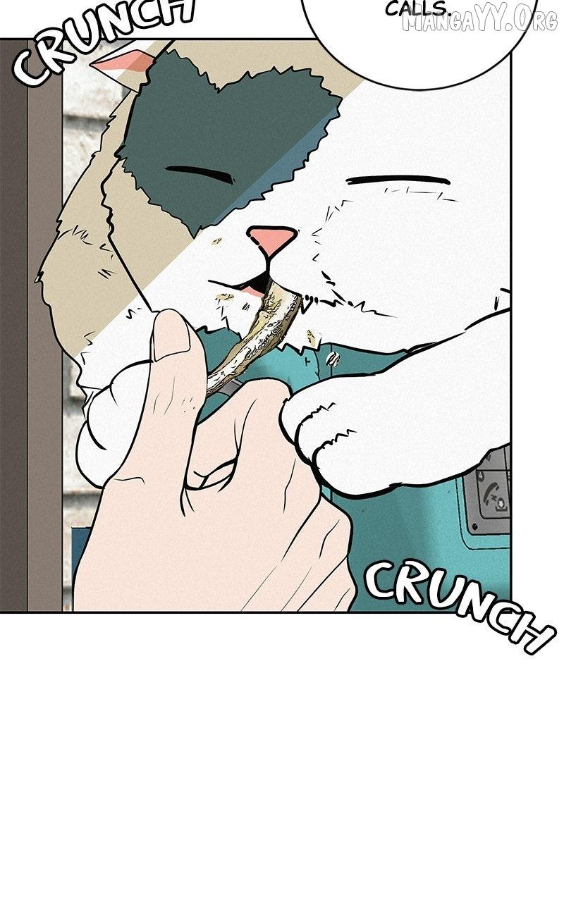 Radiant Rewind Chapter 63 page 25 - 
