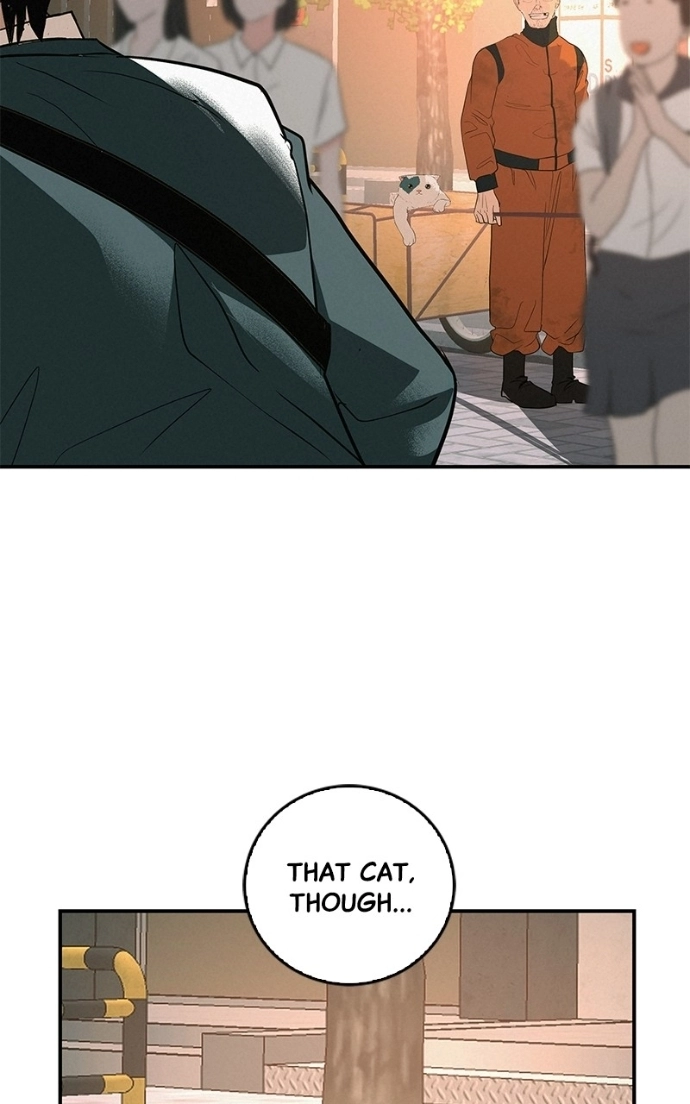 Radiant Rewind Chapter 64 page 71 - 