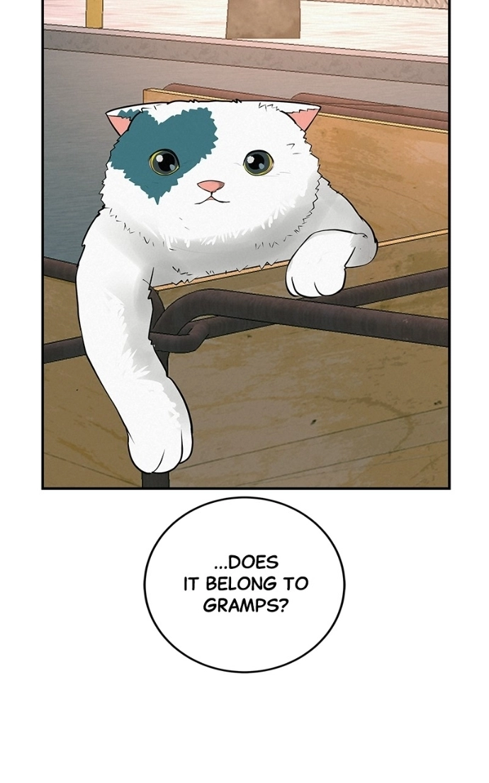 Radiant Rewind Chapter 64 page 72 - 