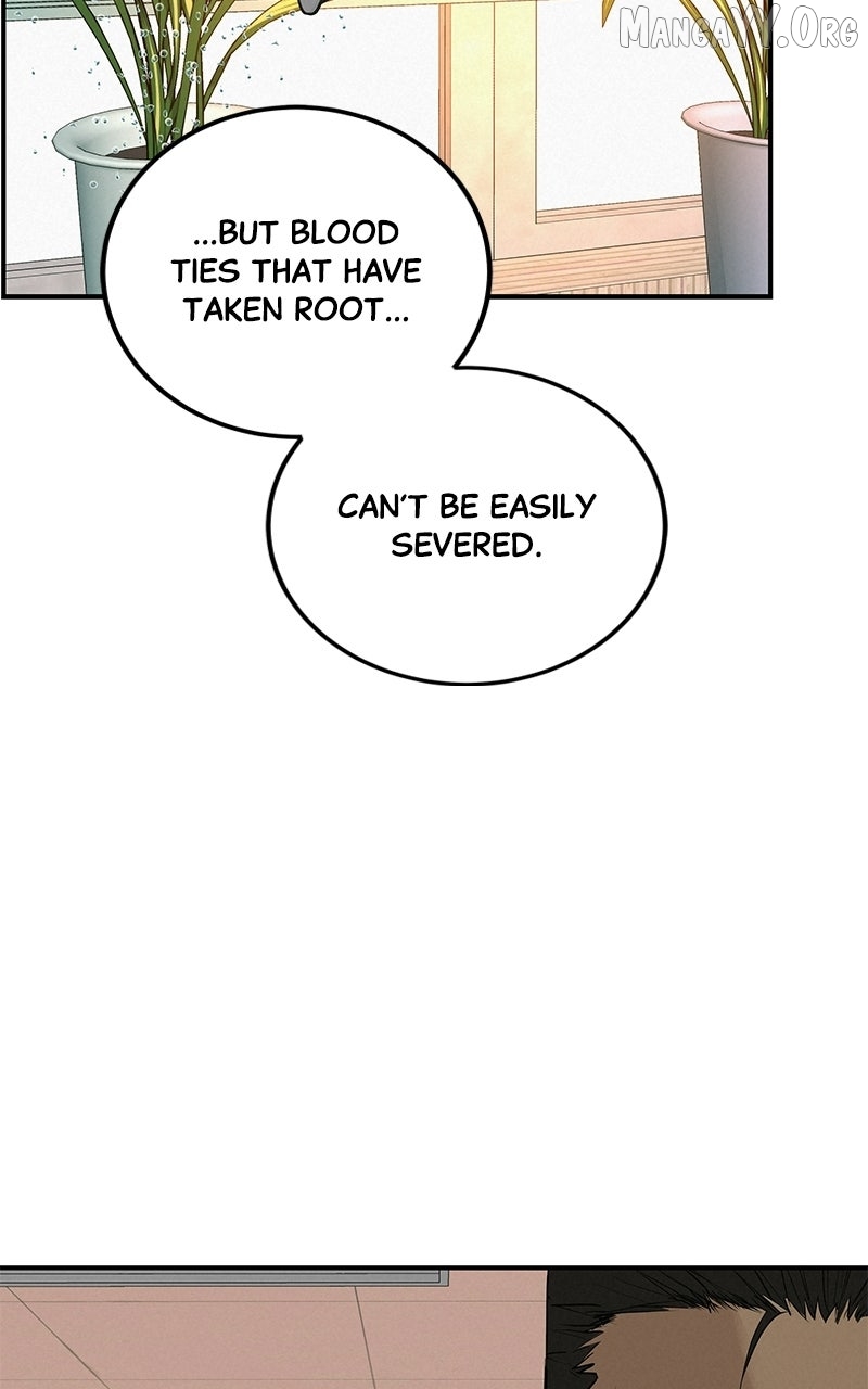 Radiant Rewind Chapter 71 page 124 - 
