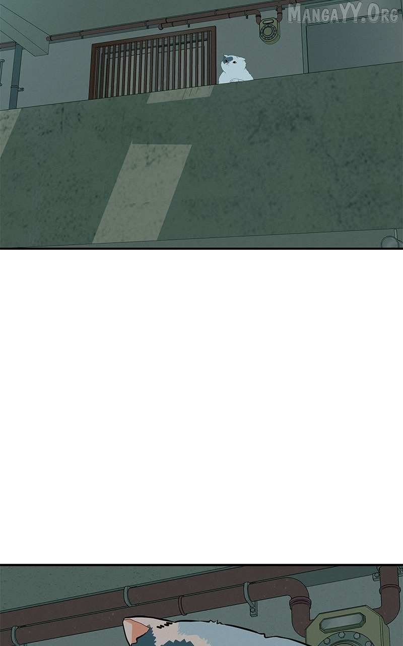 Radiant Rewind Chapter 71 page 170 - 