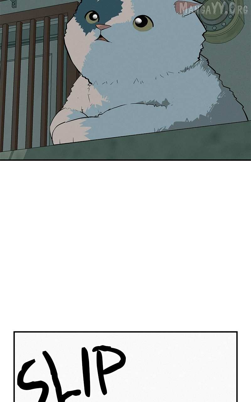 Radiant Rewind Chapter 71 page 171 - 