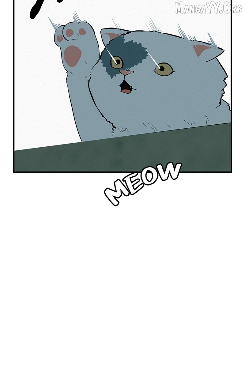 Radiant Rewind Chapter 71 page 172 - 