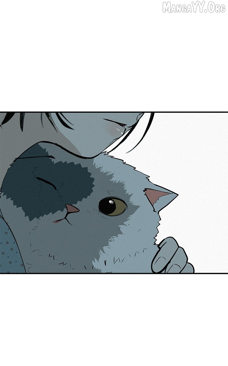 Radiant Rewind Chapter 71 page 173 - 